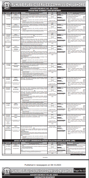 Punjab Food Authority Jobs